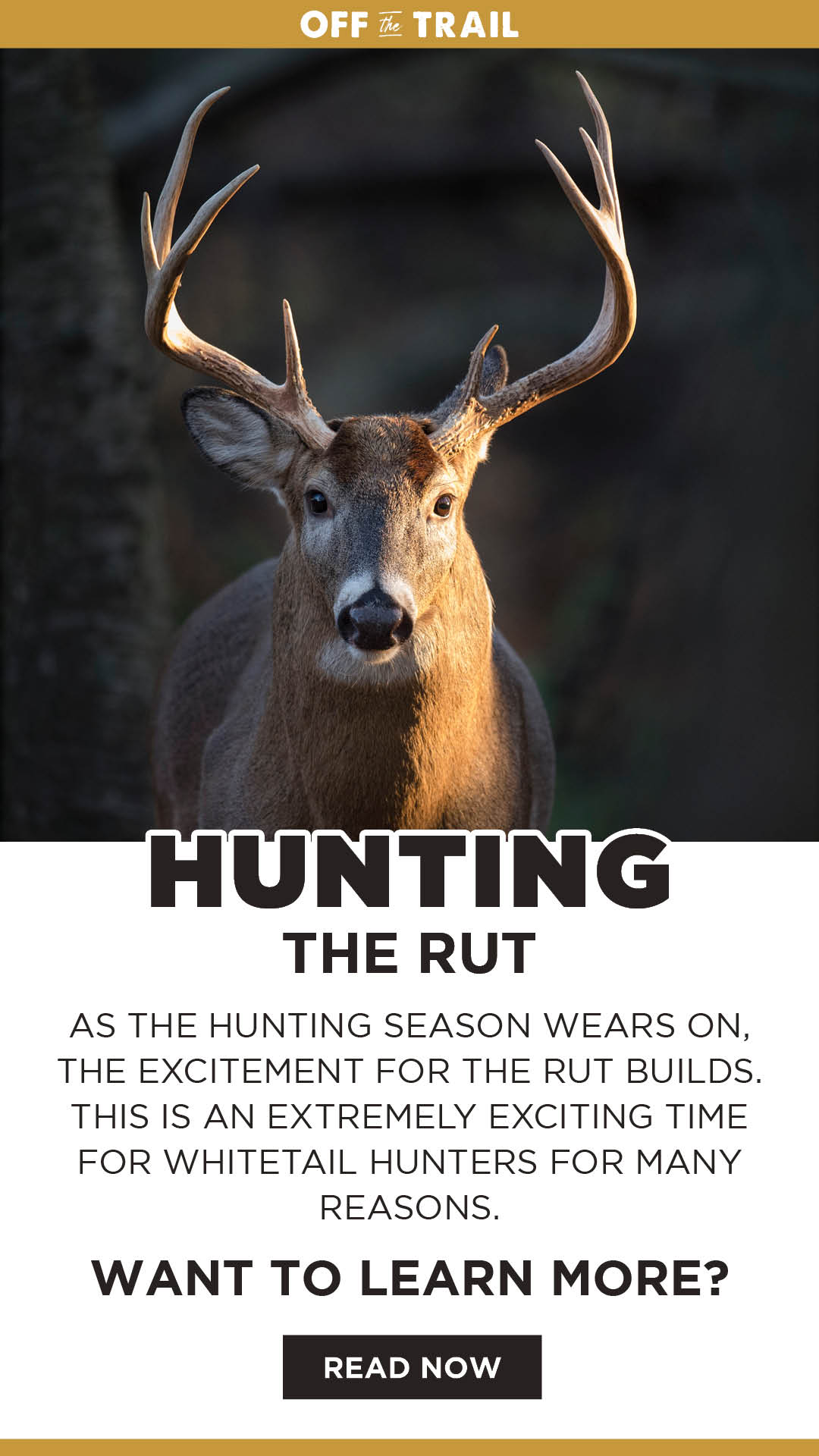 Off the Trail Blog - Hunting the Rut